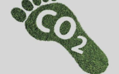 Klima und Nachhaltigkeit – die GeWoGe leistet ihren Beitrag